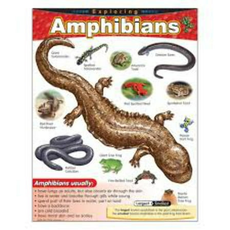 Exploring Amphibians Learning Chart 17x22 [T38182]