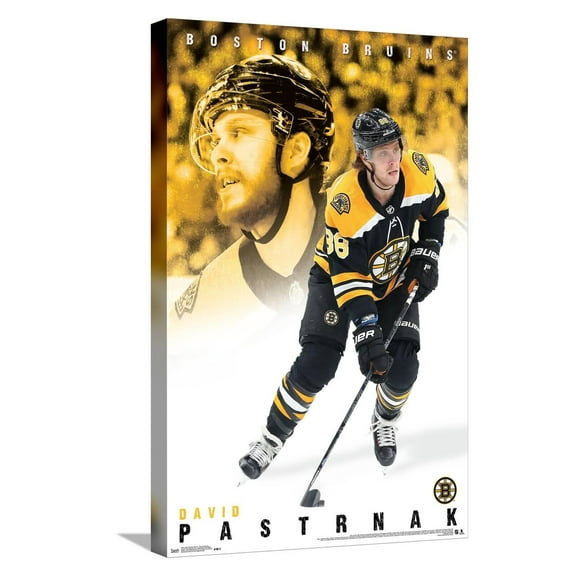 NHL Boston Bruins - David Pastrnák 19 Canvas Wall Poster, 14.725" x 22.375"