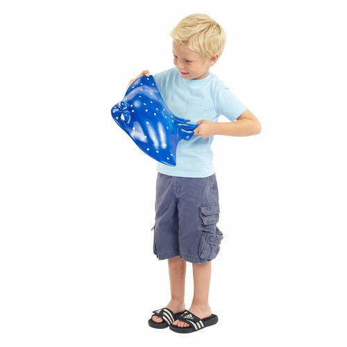 Finding dory mr ray store 3 in 1 playset