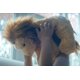 thumbnail image 2 of León de Peluche GUND Cozys Collection 10pulg Felpa Suave Infantil Bronceado GUND GD-966665, 2 of 2