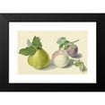 thumbnail image 2 of Elisabeth Geertruida van de Kasteele 24x17 Black Modern Framed Museum Art Print Titled - A Pear, Peach, Plum and Nuts, After Michiel Van Huysum (1818 - 1853), 2 of 5