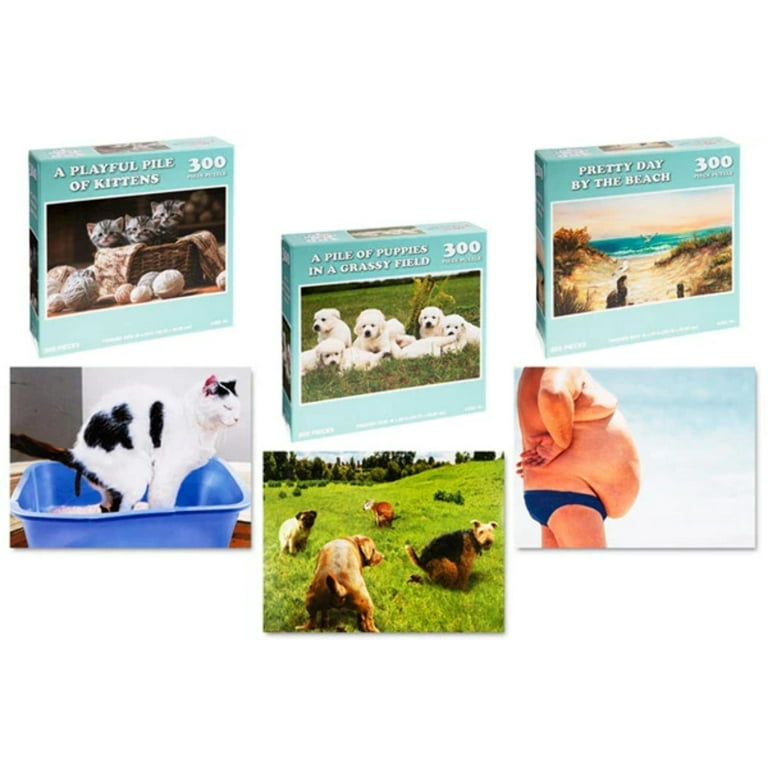 Doing Things Beach Prank Puzzle 300 pcs - Walmart.com