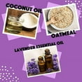 thumbnail image 4 of Speak Pet Products Natural Dog Shampoo, Calming Lavender, 1 Gallon, 4 of 5