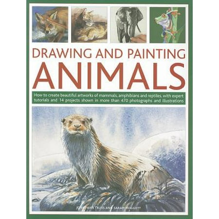 Drawing and Painting Animals : How to Create Beautiful Artworks of Mammals, Amphibians and Reptiles, with Expert Tutorials and 14 Projects Shown in More Than 470 Photographs and