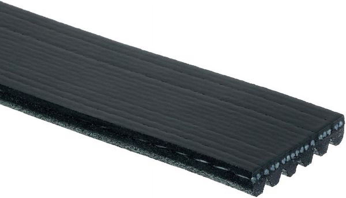 ACDelco V-Ribbed Serpen (B)
