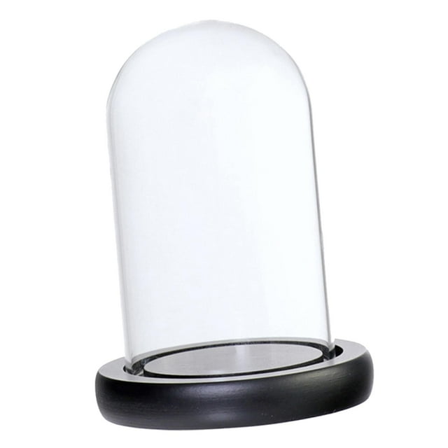 Glass Cloche Micro Landscape DIY Holder Vase Terrarium with Base , , as described Black A