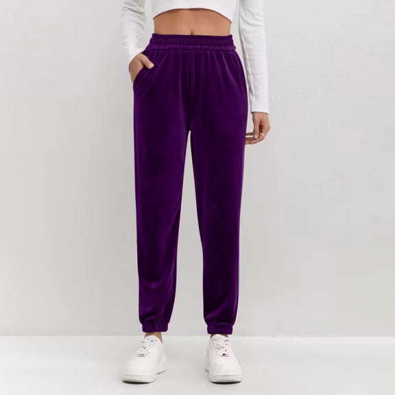 Women's Velvet Jogger Pants Loose Casual Solid Color High Waist Velour Sweatpants with Pocket Elastic Waist Active Long Pants Purple S