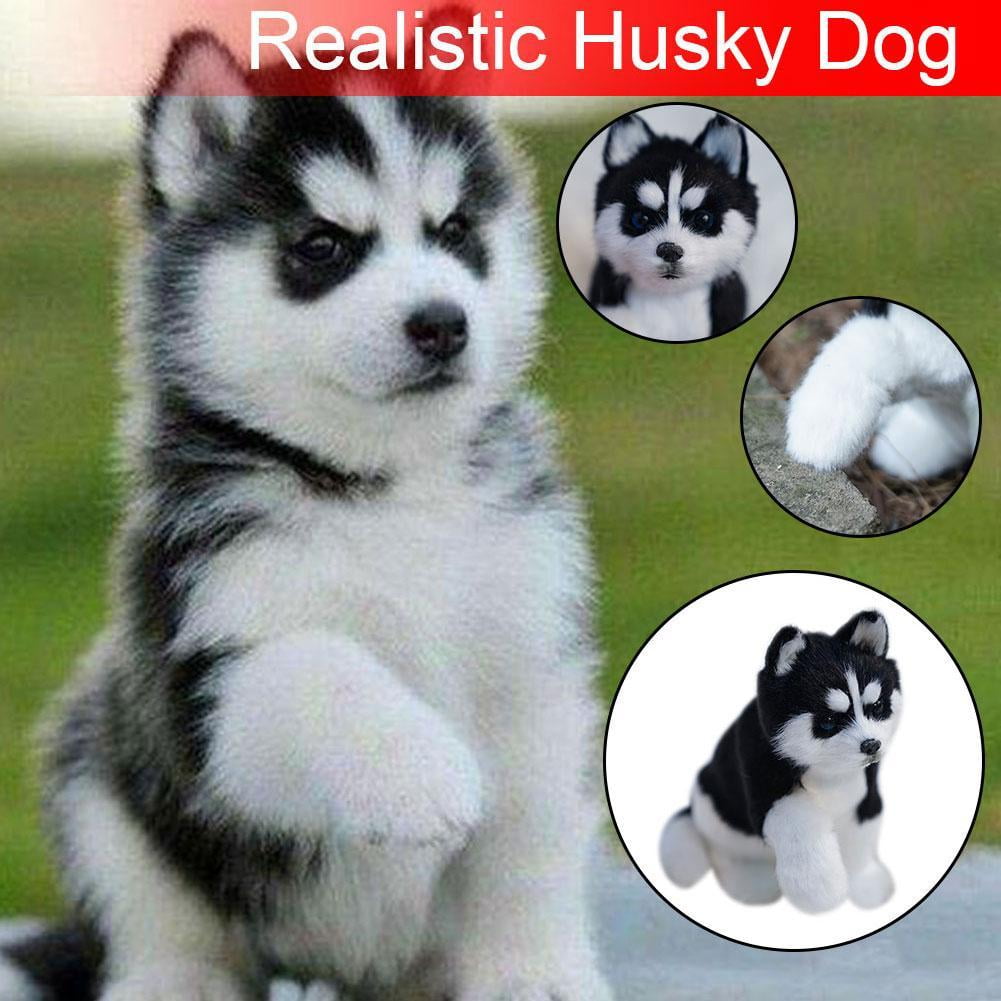 Realistic Husky Plush Stuffed Pet Dog Simulation Toy To Stuffed Dog 2024 UKSELLE T1J7