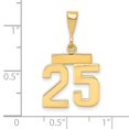 thumbnail image 2 of Auriga Fine Jewelry 14K Yellow Gold Polished Number 25 Charm Pendant for Women, 2 of 4