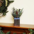 thumbnail image 4 of Northlight 13" Green and Blue Square Potted Frosted Blueberry Artificial Christmas Arrangement, 4 of 4