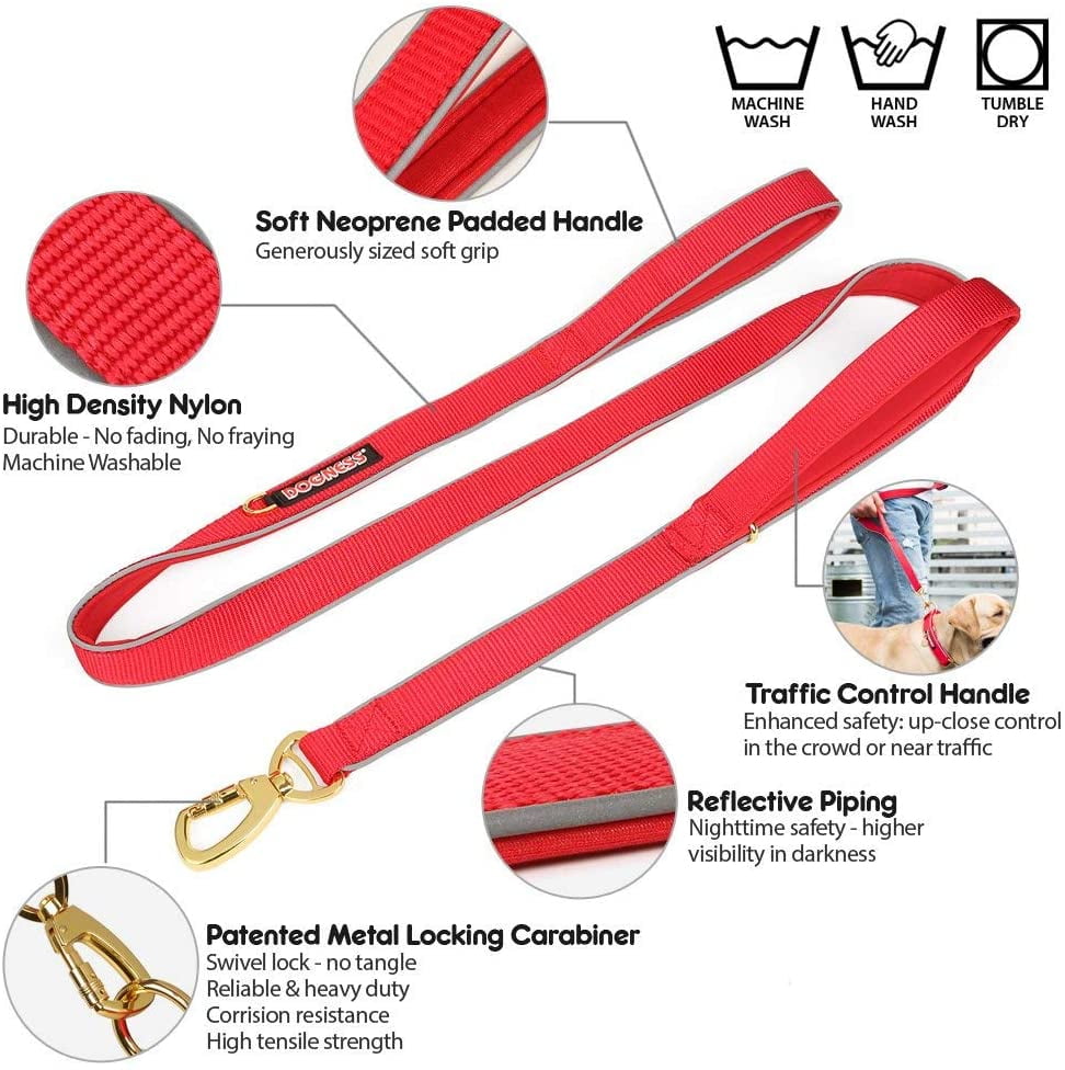 puppy restless and panting