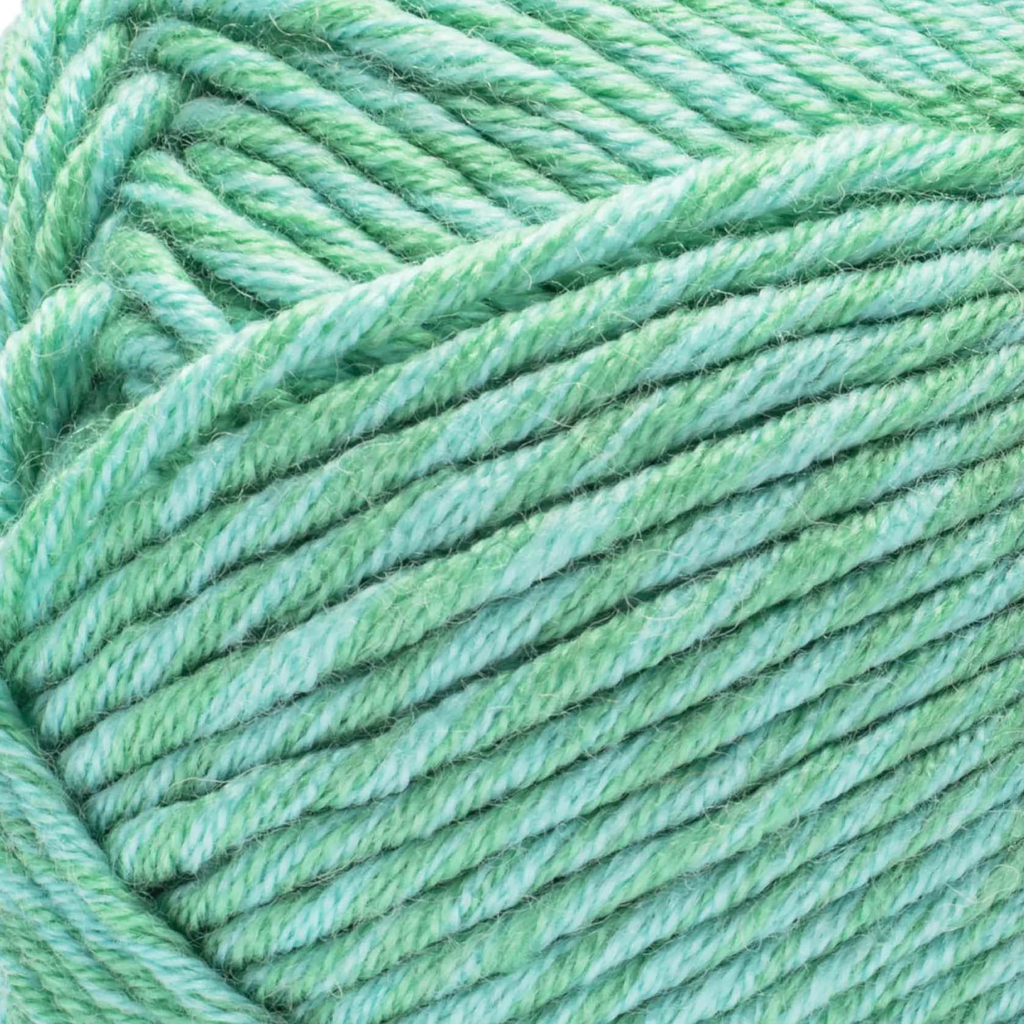 Caron® Simply Me Montage™ #5 Bulky Blend Yarn, Jasper 5oz/140g 172 Yards