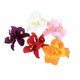 thumbnail image 1 of pinzas para el cabello con diseño de plumeria e hibisco hawaianos para mujer, accesorio floral tropical con clip metálico oculto y seguro., 1 of 5
