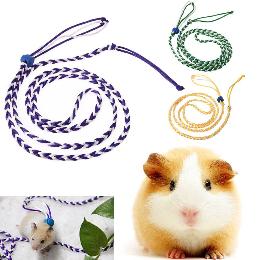 gerbil leash