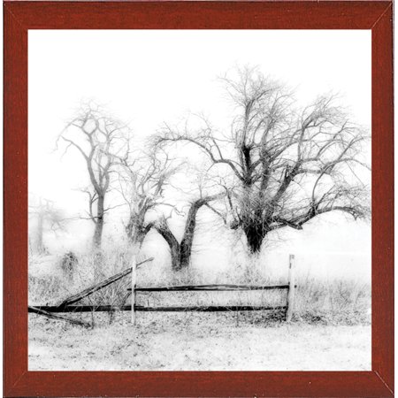 Stand Of Trees-HARTRE50404 Print 11.5"x11.5" by Harold Silverman - Trees & Old Fences in a Affordable Red Mahogany Medium