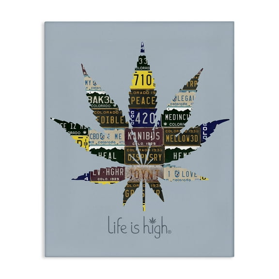 Stupell Industries Life Is High with Plant Novelty & Humor Painting Wrapped Canvas Art Print Wall Art, 16 x 20