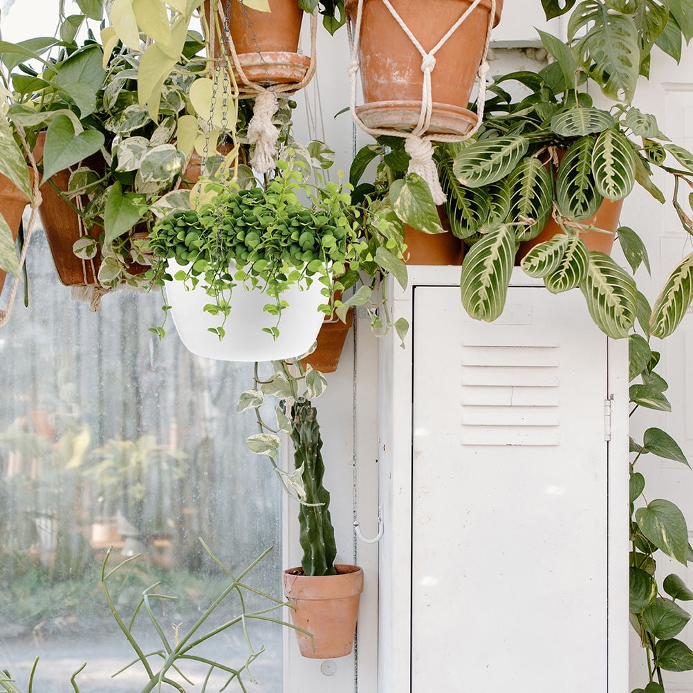 RENACLIPY 1Set White Hanging Planter Basket with Drainage Chain Holder for Elegant Indoor Outdoor Plants