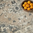 thumbnail image 4 of Nourison Concerto Persian Beige Grey 5' x Square Area Rug (5 Square), 4 of 9