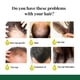 thumbnail image 4 of Fiudx Ofertas relámpago del día Spray de sueros en jengibre, caída del cabello, adelgazamiento del cabello, líquido para crecimiento del cabello, recuperación de la caída del cabello, 4 of 4