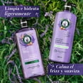thumbnail image 4 of Shampoo Herbal Essences Anti-Frizz Lavanda & Aceite de Almendras 600 ml, 4 of 4