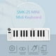 thumbnail image 2 of Controlador M-VAVE SMK-25mini Teclado MIDI Recargable 25 teclas Mini Teclado USB portátil, 2 of 8