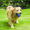 Ball Toys for Aggressive chewers Large Breed Balls Interactive Dog Ball