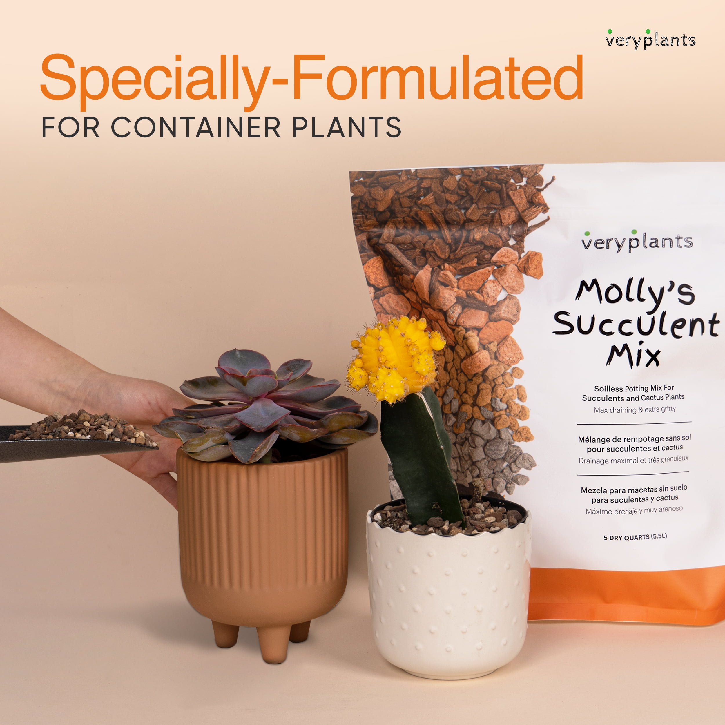 VERYPLANTS Molly's Succulent Mix Soil, 3 Dry qt
