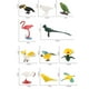 thumbnail image 5 of Toy Bird Model Set Snow Parakeet Simulación Modelo De Juguete Sunnimix Mini Figuras de Aves Flamencas, 5 of 8