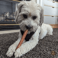 thumbnail image 4 of Bully Bunches Premium 6 Inch Thick Bully Stick - 5 Pack, 4 of 8
