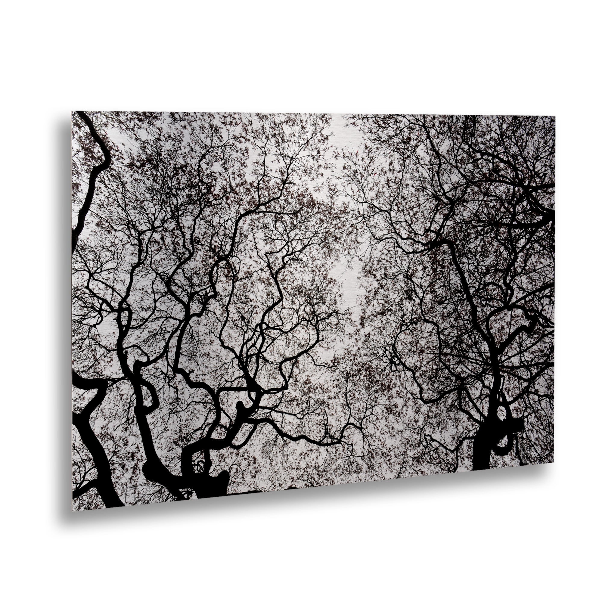 Trademark Fine Art 'Japanese Maple Spring Abstract' Brushed Aluminum Wall Art Art by Kurt Shaffer