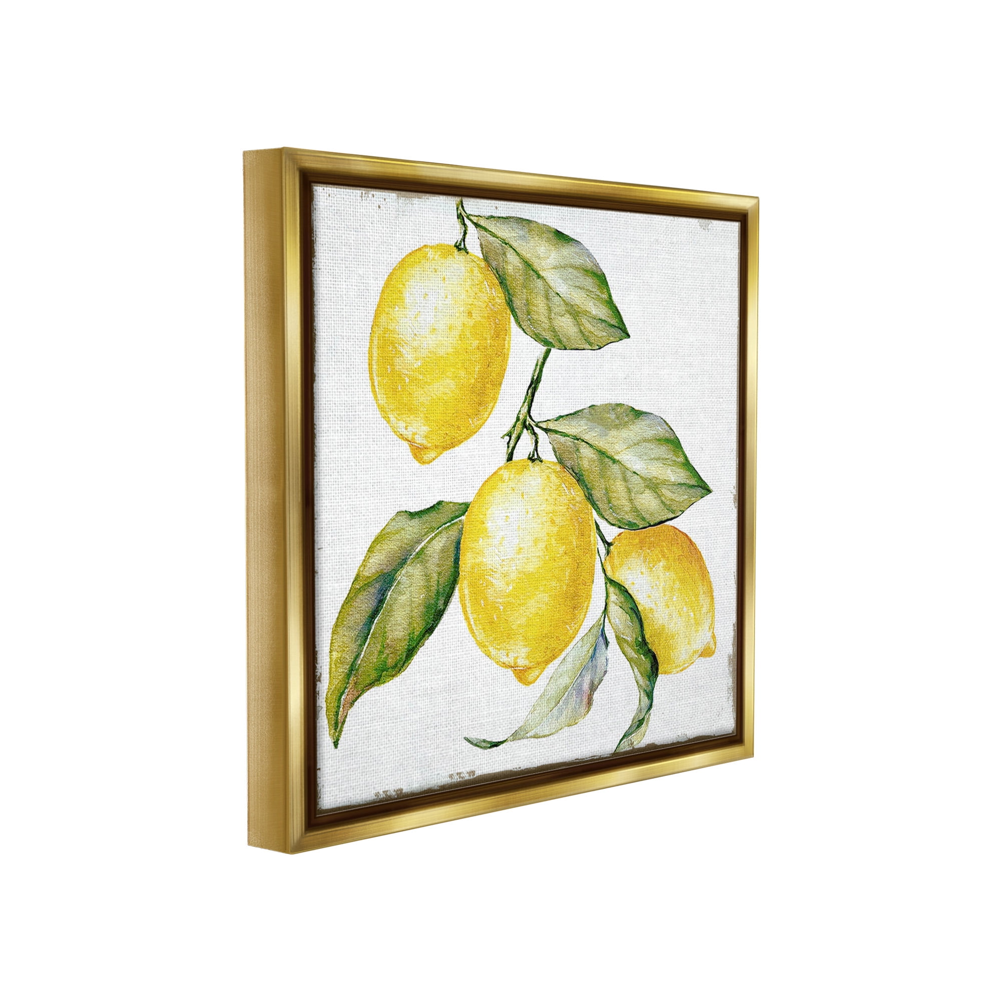 Stupell Industries Rustic Citrus Fruits Food & Beverage Painting Gold Floater Framed Canvas Art Print Wall Art, 18 x 18