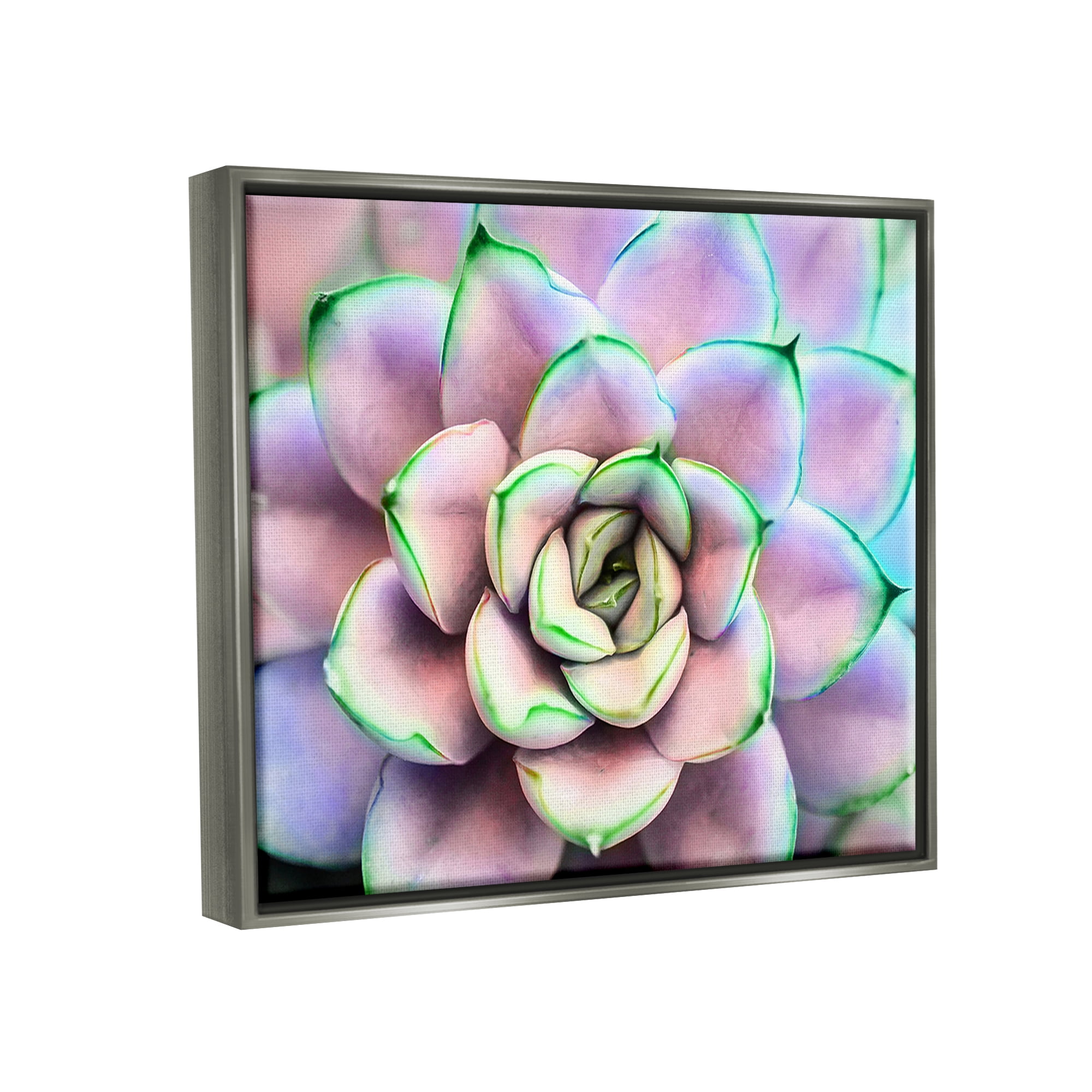 Stupell Industries Purple & Green Succulent Petals Botanical & Floral Photography Gray Floater Framed Art Print Wall Art