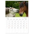 thumbnail image 6 of Funny white horse - a horse with a sense of humor (Monthly Wall Calendar 2026 16.5 x 23.4 (open)), CALVENDO 14 Month Calendar, 6 of 9
