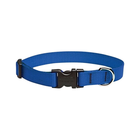 LupinePet Basics 3/4" Blue 13-22" Adjustable Collar for Medium and Larger Dogs