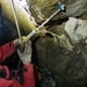 thumbnail image 3 of Greeniant Pernos de suspensión de anclajes de escalada profesional, cuerdas de escalada de árboles prácticos, accesorios de Camping, remedio Escalada, 3 of 6