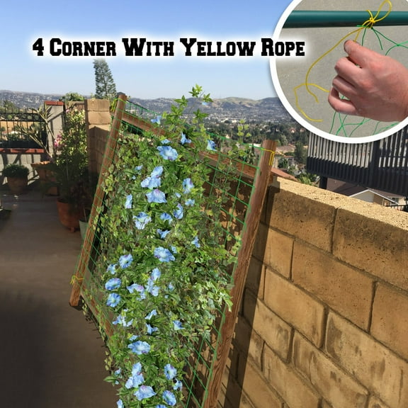 SUNRISEUMBRELLA 6'x3'Trellis Netting Support Net for Plants Climbing Plants Grow Mesh Net
