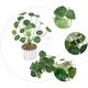 thumbnail image 5 of 2 hojas de loto artificiales decorativas para fiestas., 5 of 8
