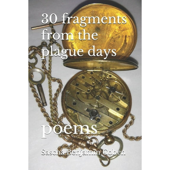 30 fragments from the plague days: poems (Paperback)