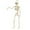 16 Inch, variant on Halloween Skeleton Decor - 16 Inches, Full Body Posable Joints Hanging Skeletons for Halloween Decorations, Graveyard Props, Haunted House Accessories, Spooky Scene Party Favors