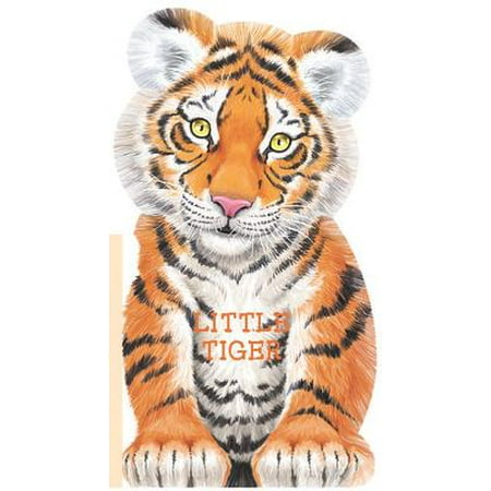 Little Tiger - Little Tiger (Board Book)