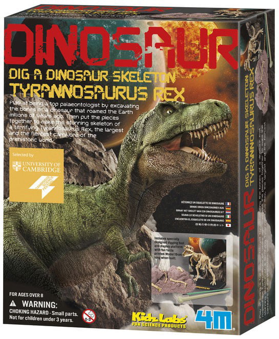 Tyrannosaurus Rex Dig It up Skeleton MindWare 14" Archaeology Excavating Toy for sale online 