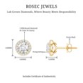 thumbnail image 6 of Rosec Jewels Lab Grown Diamond Halo Stud Earrings Round - EF-VS Quality - Ready to Gift for Anniversary, 10K Yellow Gold, 6 of 7