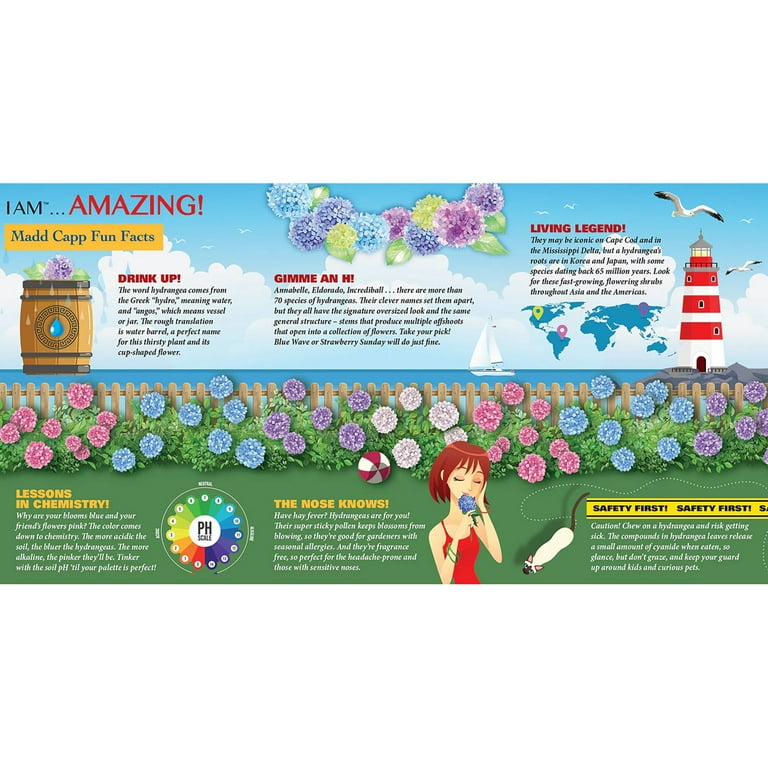 花さま Madd Capp: I Am Hydrangea - 350 Piece Puzzle - Floral Shaped