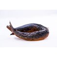 thumbnail image 5 of Kini Fish, 5 of 8