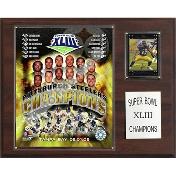C & I Collectables 1215SB43 Steelers NFL Super Bol XLIII Champions Plaque