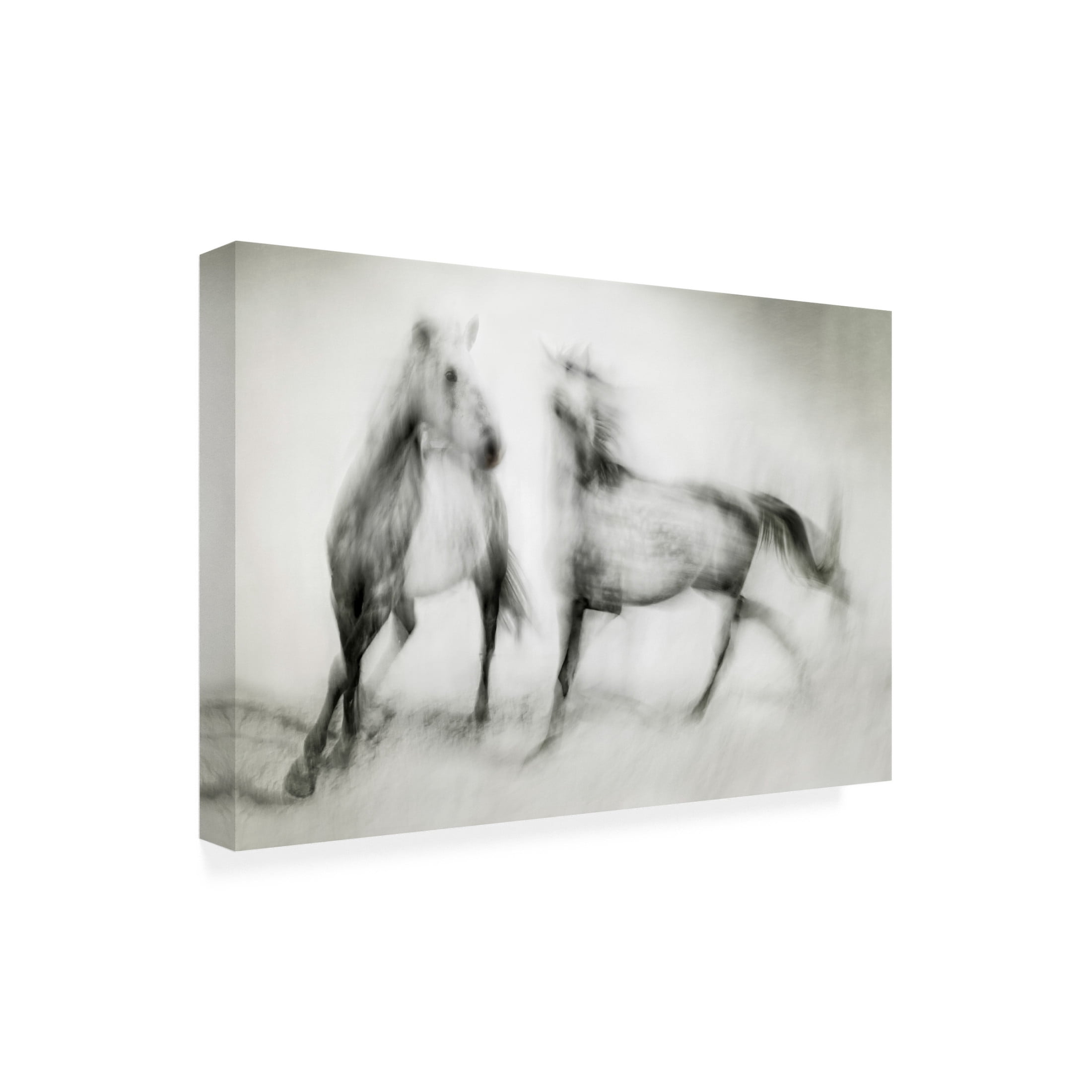 Canvas Wall Art - Martine Benezech 'Shivers' Wall Art for Living Room, Bedroom, or Office D?cor by Trademark Fine Art - 19 x 12 Inches