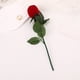 thumbnail image 4 of Regalos para Parejas Rosa con la Rama Del Anillo de la Caja, Plástico Rojo 26x6x6cm en Forma de Corazón Caja de Joyería para la Boda Día de San Valentín, Regalos de Boda para Pareja, 4 of 6