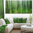 thumbnail image 1 of Forêt Sauvage Verte avec Arbres Denses - Impression sur Toile, 1 of 3
