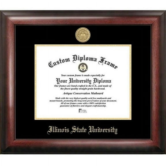 Illinois State 8.5" x 11" Gold Embossed Diploma Frame