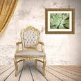 thumbnail image 3 of Johnson, Jason 18x15 Gold Ornate Wood Framed with Double Matting Museum Art Print Titled - Spring Succulent I, 3 of 4